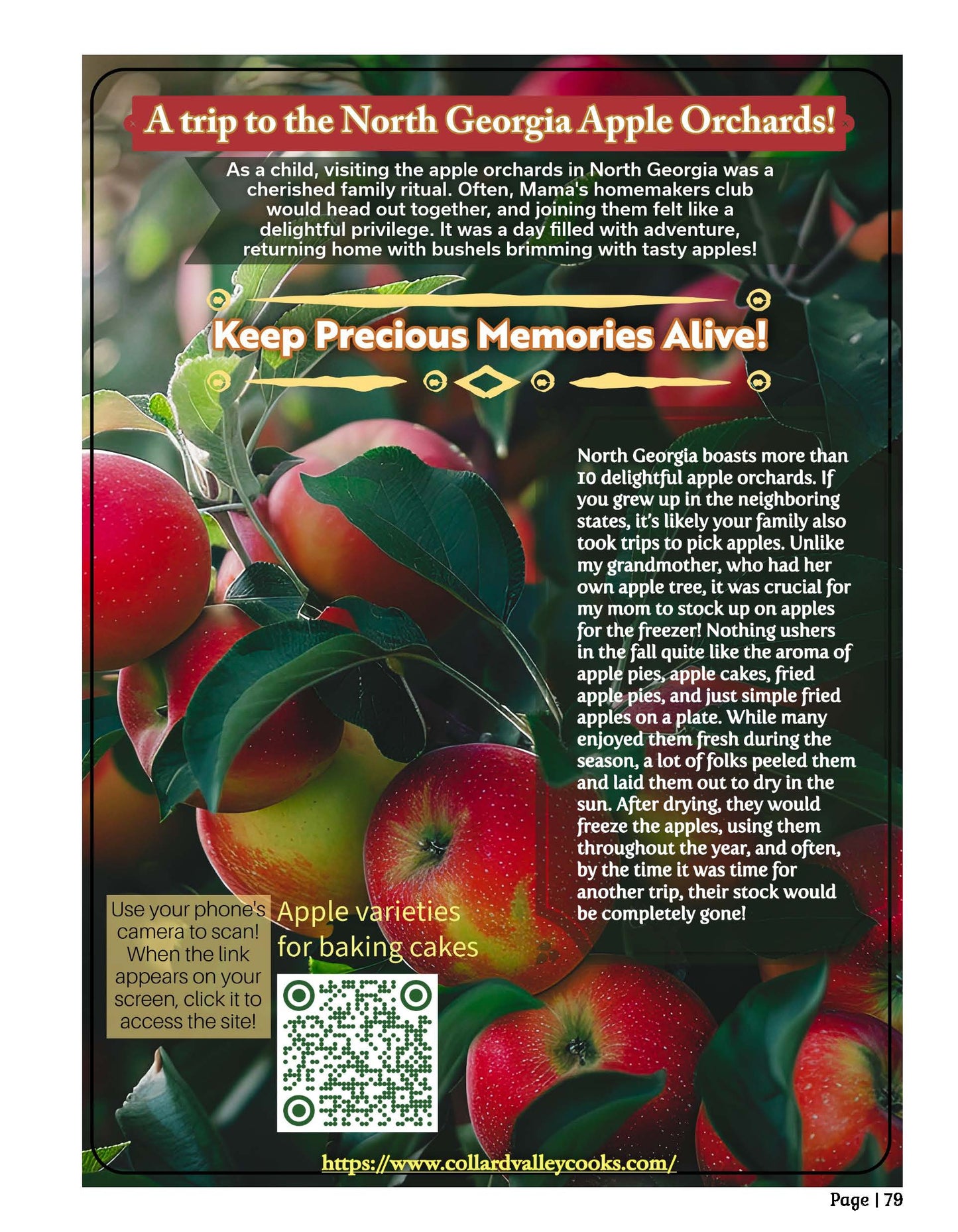 Master Cookbook - Pre-Order (Ships November 2025) - Over 700 Recipes!