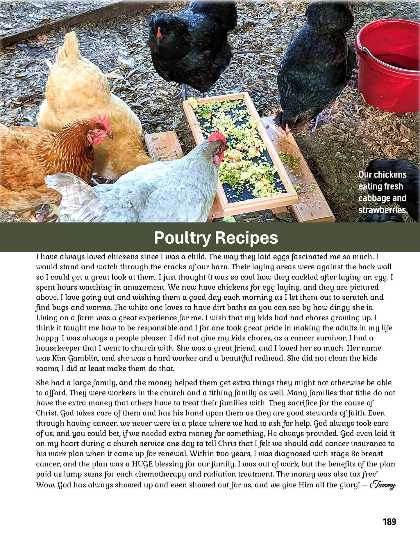 Master Cookbook - Pre-Order (Ships FEBRUARY 2026) - Over 700 Recipes!